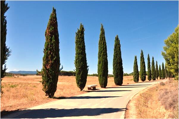 夢到有人敲我頭腦是咋回事_周公解夢官網