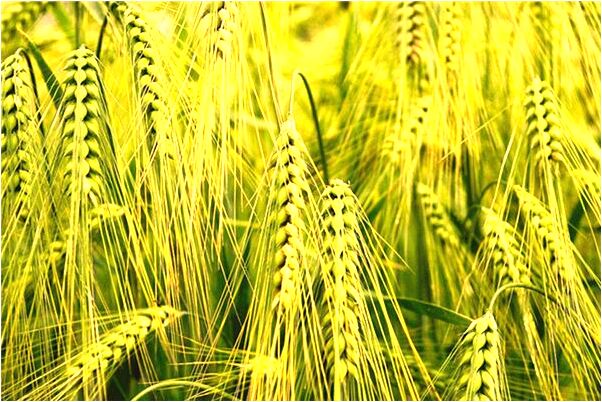 夢見鐲子斷了有什麼意思嗎_周公解夢官網