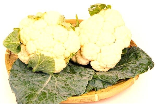 夢到了婆婆得了癌症自殺了有什麼寓意嗎_周公解夢官網