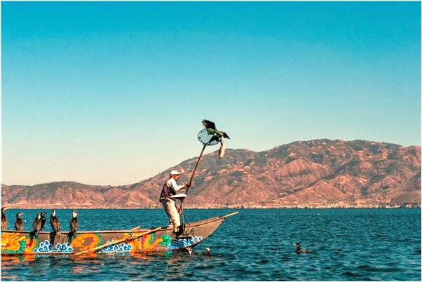 夢到看演唱會時乾媽錢包交給我有什麼說法_周公解夢官網