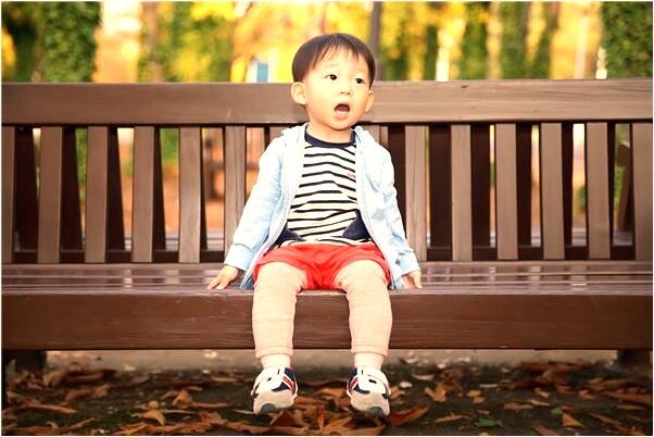 夢見抓到兩隻正在打架的斑鳩怎么說_周公解夢官網