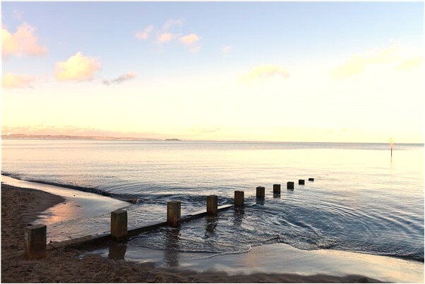 夢到我的美女被領袖的兒子看上有什麼說法_周公解夢官網