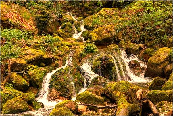 夢到蛇和鱷魚第一次交配是什麼預兆？_周公解夢官網