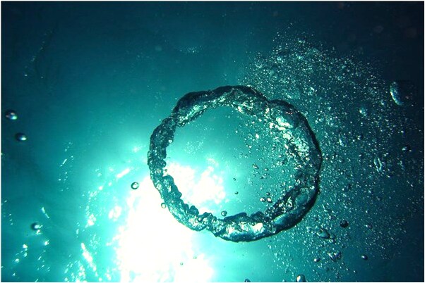 夢到了大樹葉黃代表什麼_周公解夢官網