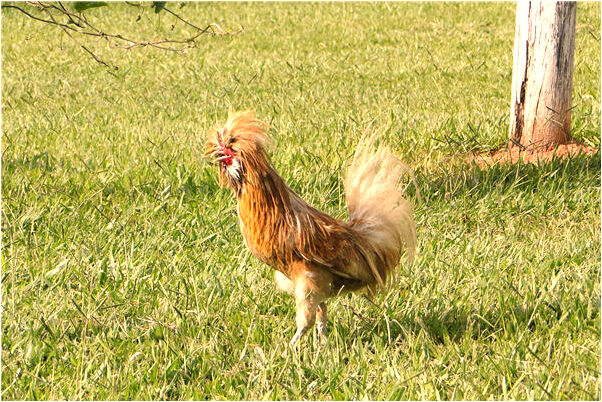 夢到了考研可以跨省考嗎預兆了什麼嗎_周公解夢官網