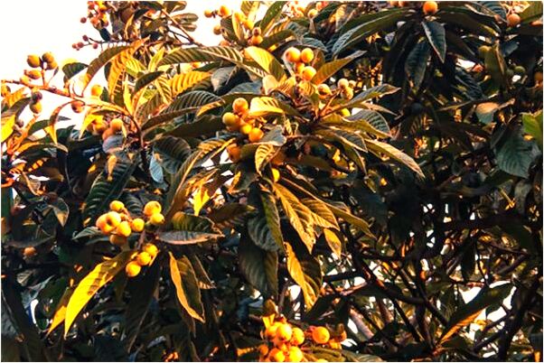 夢到了女友買衣服好不好_周公解夢官網