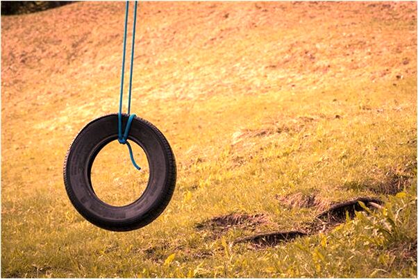 夢見獅子生產小獅子是不是好的徵兆呢_周公解夢官網