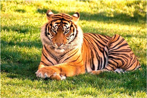 夢見和剛死去的媽媽睡覺什麼預兆_周公解夢官網