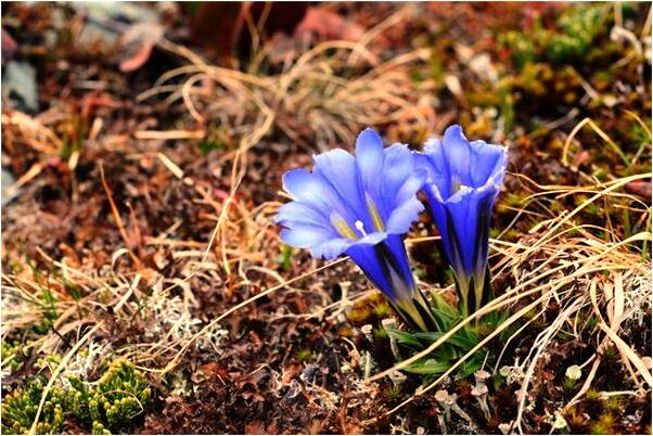 夢到夢別人高升自己很難受是什麼徵兆_周公解夢官網