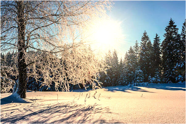 夢到了叔叔家辦婚禮意味著什麼_周公解夢官網