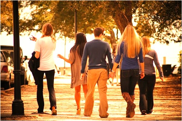 夢到金蟬出土意味什麼_周公解夢官網