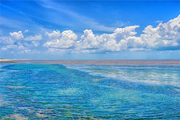 夢見有人叫我去海意味什麼_周公解夢