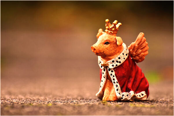 夢見少王出殯有什麼說法_周公解夢官網