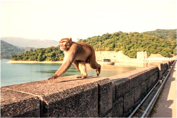 夢到老公把我放在地上會怎么樣_周公解夢官網