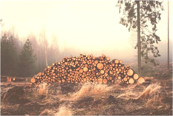 夢到金手腕的預兆_周公解夢官網