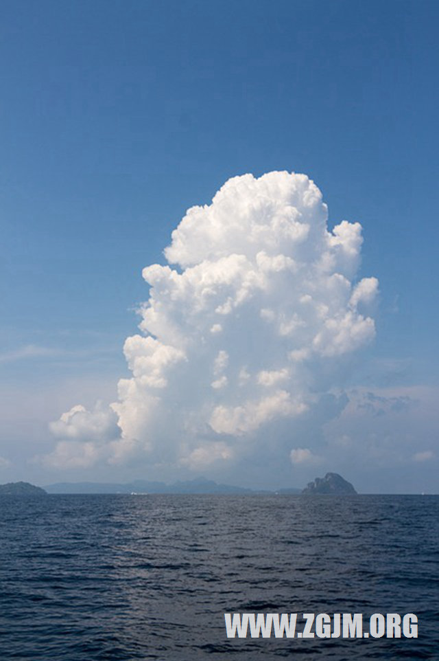 夢見雞鴨鵝_周公解夢夢到雞鴨鵝是什麼意思_做夢夢見雞鴨鵝好不好_周公解夢官網