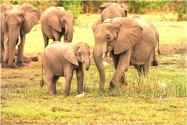 夢見老公和別的女人和一起怎么說_周公解夢官網