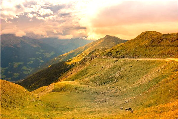 夢到小偷進家被我抓有什麼預兆_周公解夢官網