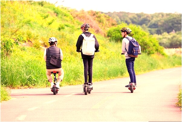 夢到了毛絨動物預示著什麼_周公解夢官網