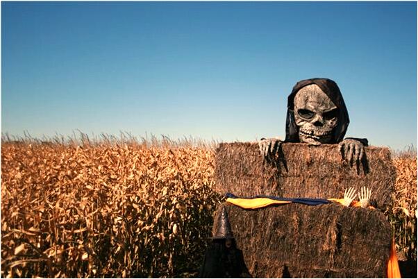 夢見紅色水桶破一條口預示什麼_周公解夢官網