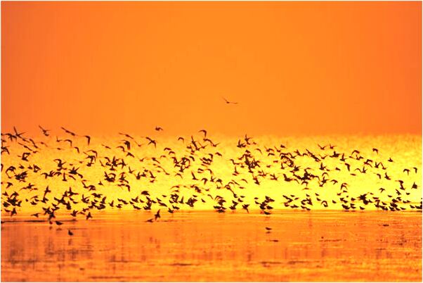 夢見媽媽換人了是什麼預兆_周公解夢官網