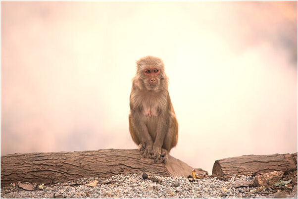 夢到男人送我很多鞋做禮物意味什麼_周公解夢官網