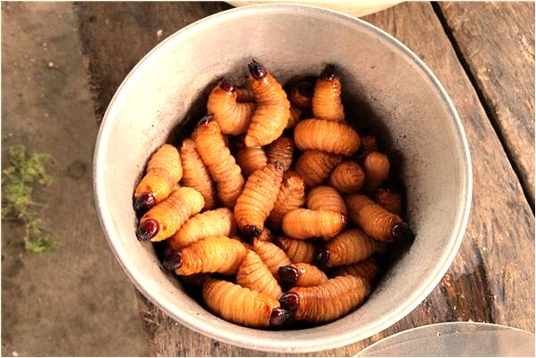 夢到跟一個女人一起工作是什麼預兆_周公解夢官網