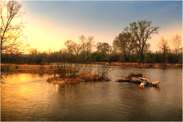 夢到別人帶孝穿孝衣意味著什麼_周公解夢官網