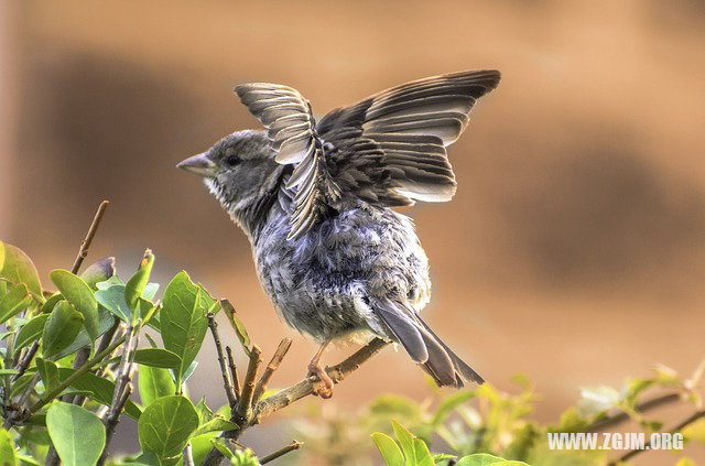 夢見前女友懷孕了_周公解夢夢到前女友懷孕了是什麼意思_做夢夢見前女友懷孕了好不好_周公解夢官網
