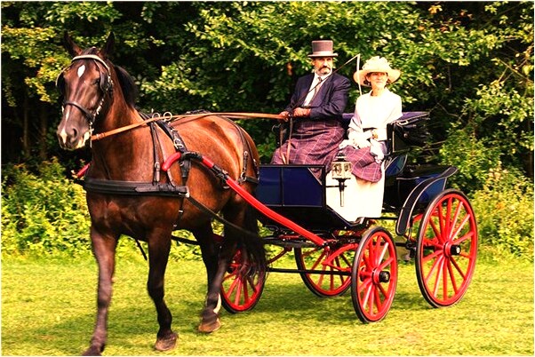 夢到了被人追趕自己會飛預兆了什麼嗎_周公解夢官網