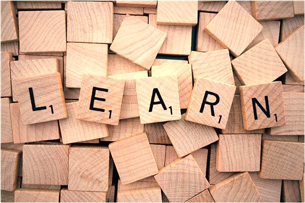 夢到了摸金蟬怎么回事_周公解夢官網