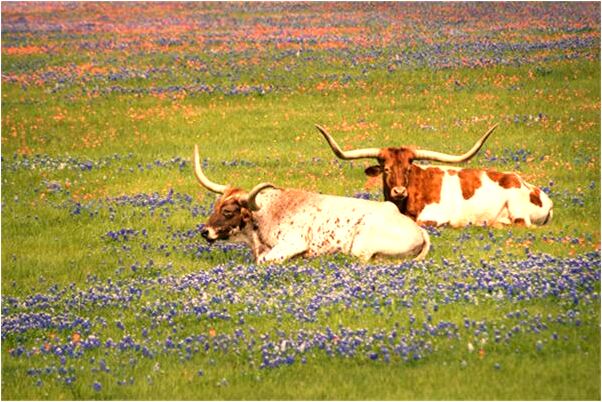 夢見看到很多人有什麼含義_周公解夢官網