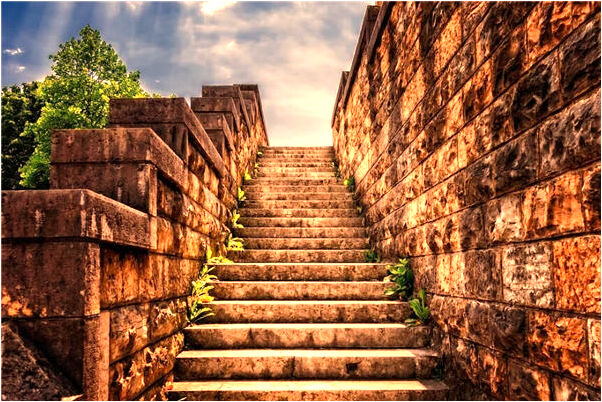 夢到芫荽籽是什麼啟示_周公解夢官網