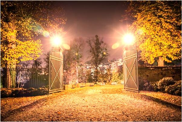 夢見手拿詐彈是好的徵兆嗎_周公解夢官網