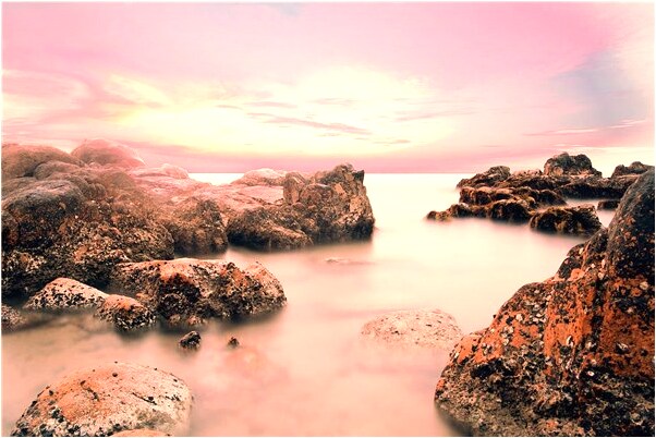 夢到了很餓的白豬是什麼徵兆_周公解夢官網