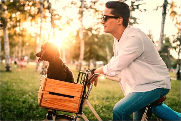 夢到和心愛的女孩在一起是什麼徵兆_周公解夢官網