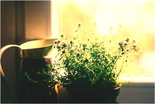 夢見被人追殺被人槍擊沒中有什麼說法_周公解夢官網