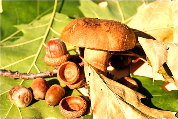 夢見和最討厭的人做愛意味著什麼_周公解夢官網