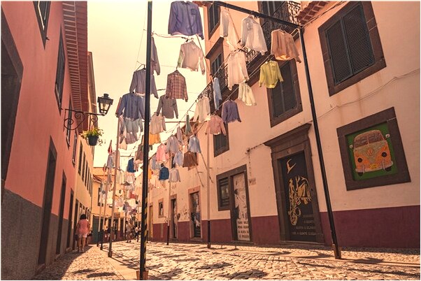 夢到了一群小鴨子在覓食代表著什麼_周公解夢官網