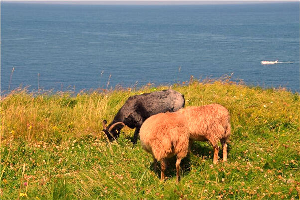 夢見穿褲襪被人發現是吉兆嗎?_周公解夢官網