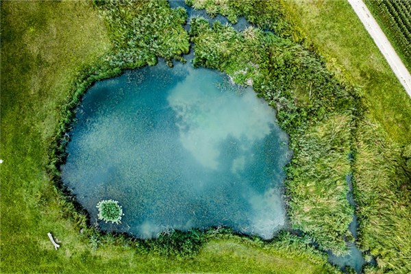 夢到了挖池塘預示什麼_周公解夢