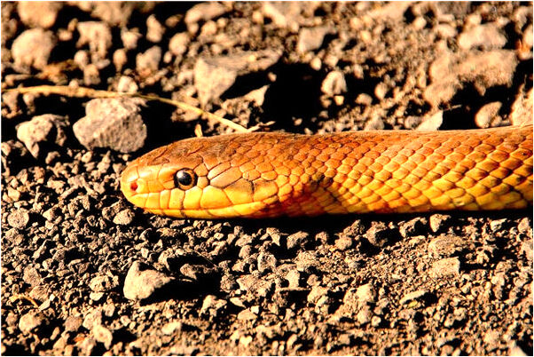 夢見前夫的媽媽是好是壞_周公解夢官網