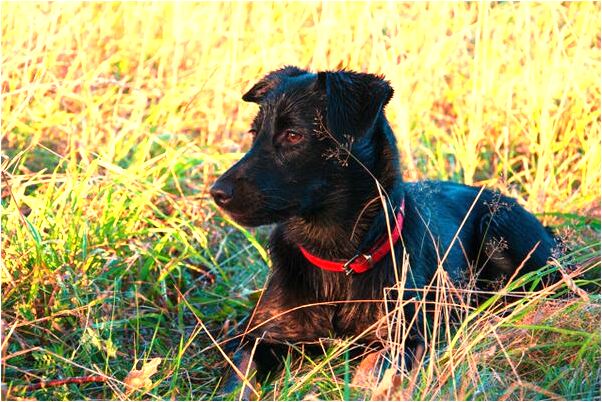 夢到男人從地上爬起走過我身邊預示著什麼_周公解夢官網