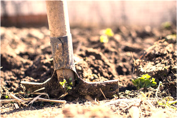 夢到了自己和家人生重病預示著什麼_周公解夢官網