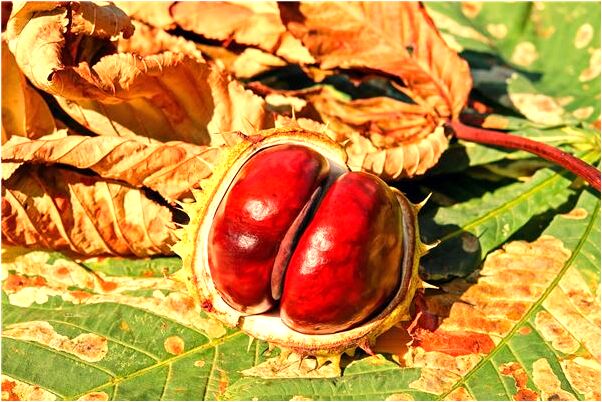 夢見女兒是前男友的預示什麼_周公解夢官網