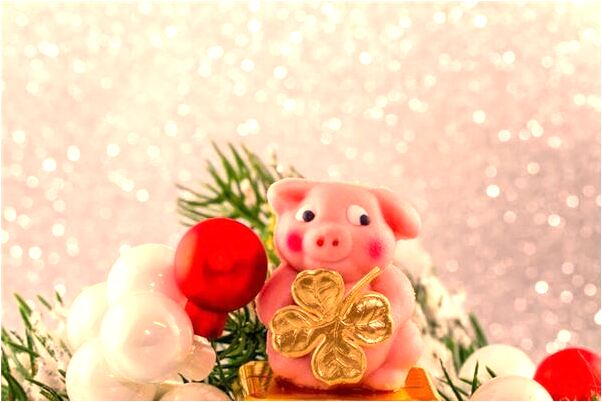 夢到了撿錢有好多蜜蜂窩代表著什麼_周公解夢官網