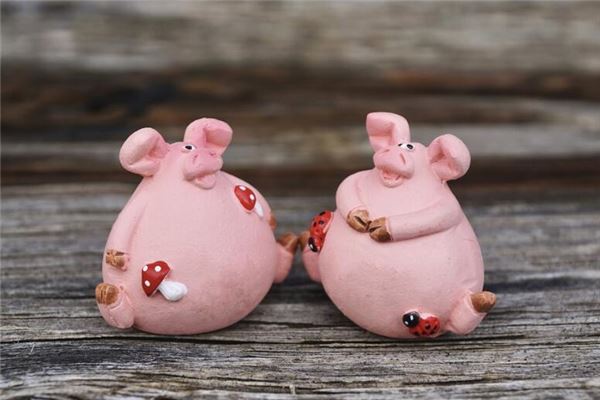 1983年6月屬豬的人性格命運_十二生肖