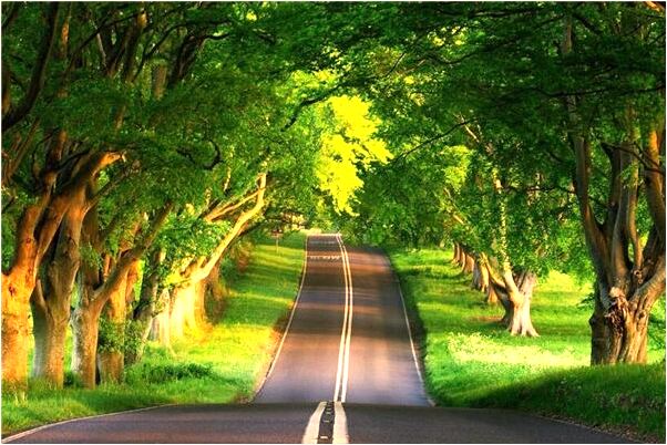 夢到了大學班會自己發言積極會怎么樣_周公解夢官網