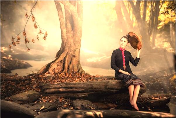 夢到了折枝花預兆了什麼嗎_周公解夢官網