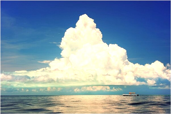 夢見身上很多蜘蛛網和小蜘蛛是什麼意思_周公解夢官網